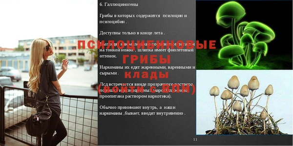 первитин Армянск