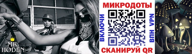 купить наркоту Североуральск Псилоцибиновые грибы Cubensis